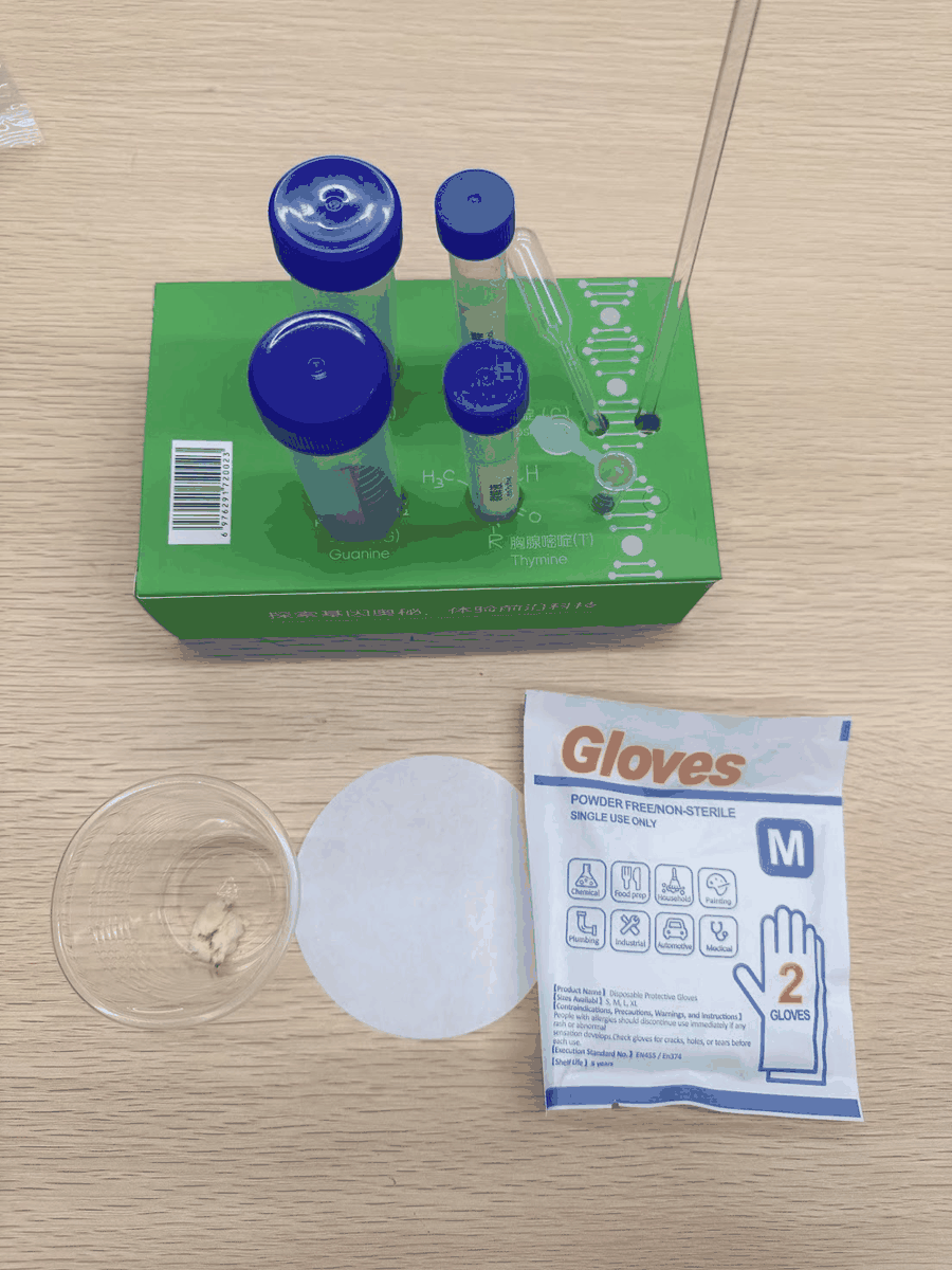 Materials for a banana DNA extraction experiment