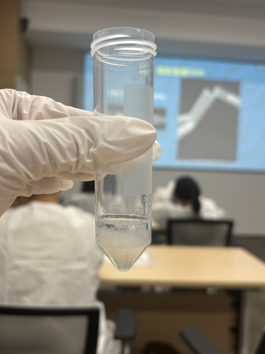 Clear lab container used in a banana DNA extraction experiment